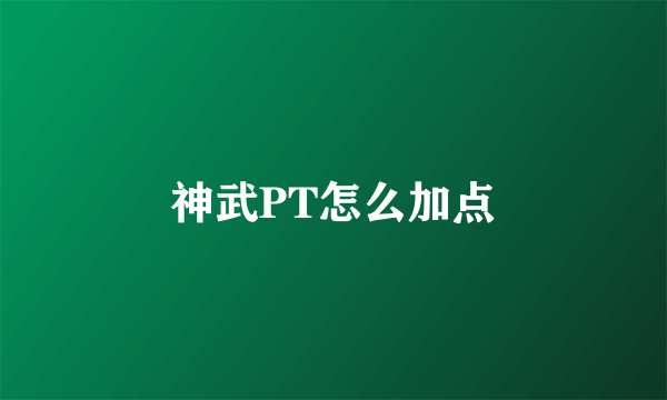 神武PT怎么加点