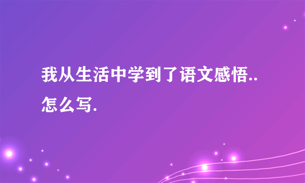 我从生活中学到了语文感悟..怎么写.