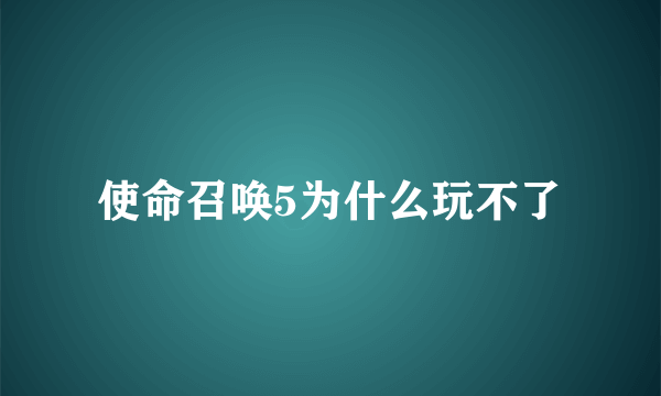 使命召唤5为什么玩不了