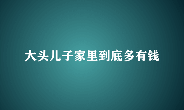 大头儿子家里到底多有钱