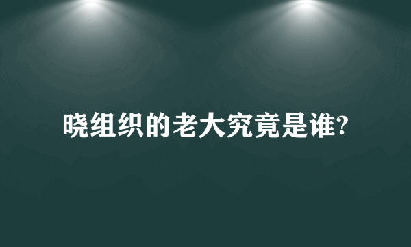 晓组织的老大究竟是谁?