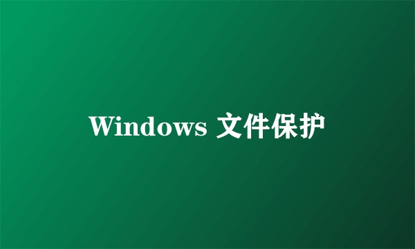 Windows 文件保护