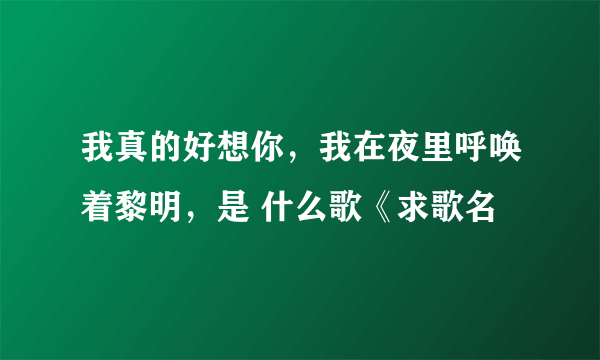 我真的好想你，我在夜里呼唤着黎明，是 什么歌《求歌名