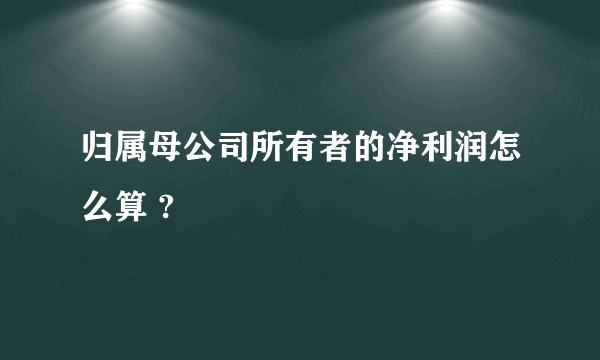 归属母公司所有者的净利润怎么算 ?