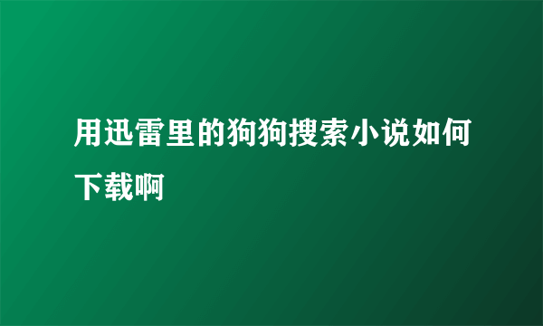 用迅雷里的狗狗搜索小说如何下载啊