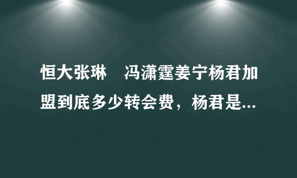 恒大张琳芃冯潇霆姜宁杨君加盟到底多少转会费，杨君是0我知道