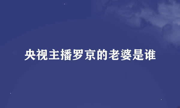 央视主播罗京的老婆是谁