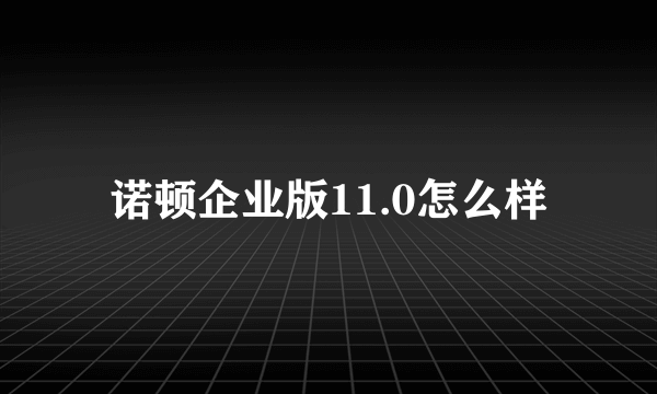 诺顿企业版11.0怎么样