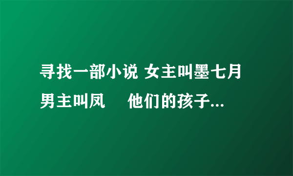 寻找一部小说 女主叫墨七月 男主叫凤璟 他们的孩子叫墨小宝 女主有七