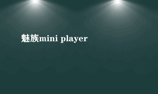 魅族mini player