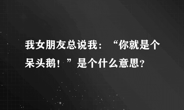 我女朋友总说我：“你就是个呆头鹅！”是个什么意思？