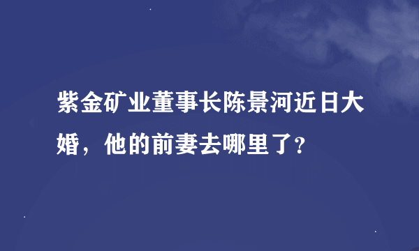 紫金矿业董事长陈景河近日大婚，他的前妻去哪里了？