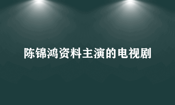 陈锦鸿资料主演的电视剧