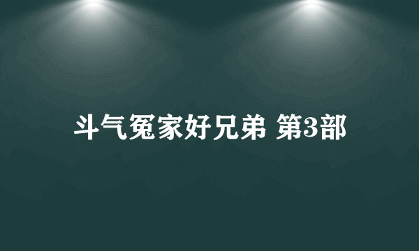 斗气冤家好兄弟 第3部