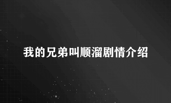 我的兄弟叫顺溜剧情介绍