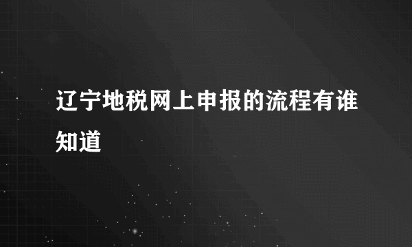 辽宁地税网上申报的流程有谁知道