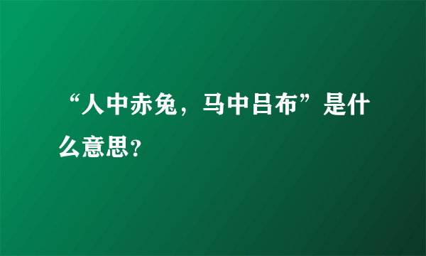 “人中赤兔，马中吕布”是什么意思？