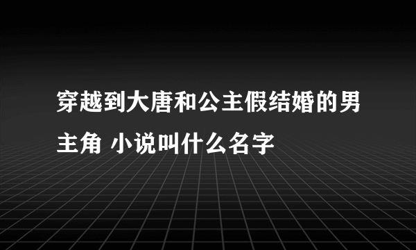 穿越到大唐和公主假结婚的男主角 小说叫什么名字