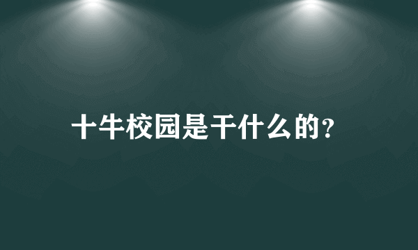 十牛校园是干什么的？