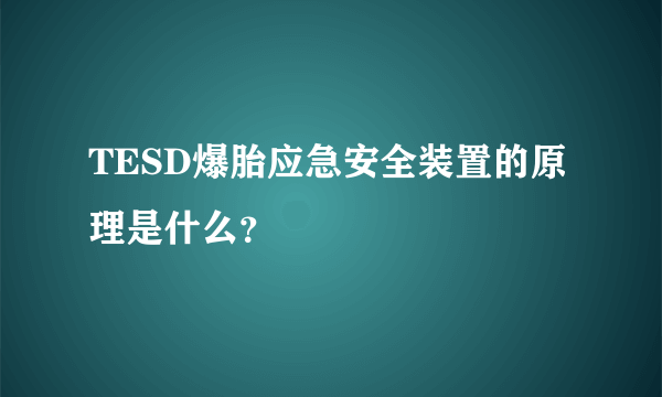 TESD爆胎应急安全装置的原理是什么？