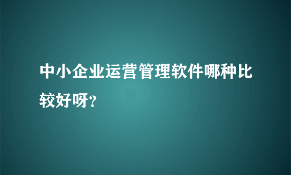 中小企业运营管理软件哪种比较好呀？