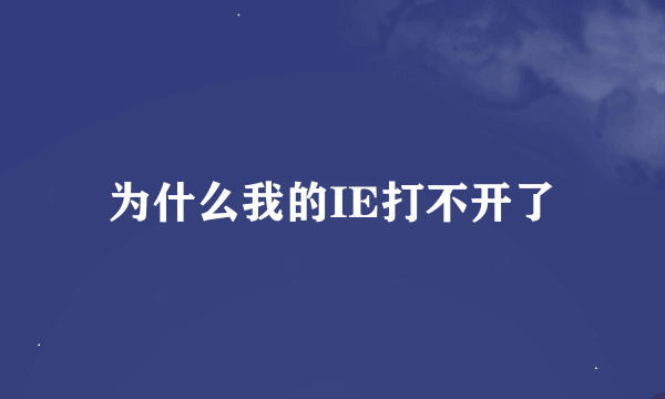 为什么我的IE打不开了