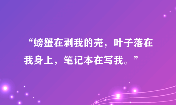 “螃蟹在剥我的壳，叶子落在我身上，笔记本在写我。”