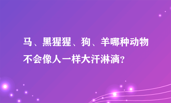 马、黑猩猩、狗、羊哪种动物不会像人一样大汗淋漓？