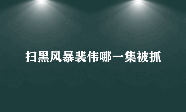 扫黑风暴裴伟哪一集被抓