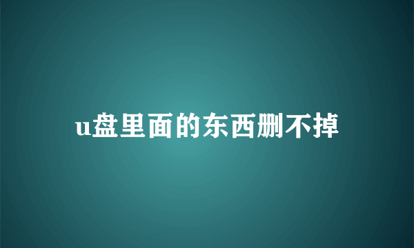 u盘里面的东西删不掉