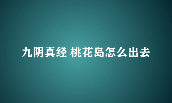 九阴真经 桃花岛怎么出去