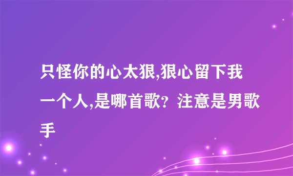 只怪你的心太狠,狠心留下我一个人,是哪首歌？注意是男歌手