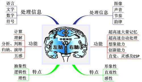 左脑思维者适合做什么样的工作呀？具体点的