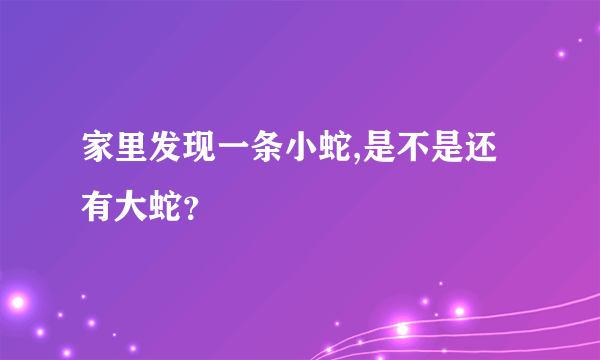 家里发现一条小蛇,是不是还有大蛇？