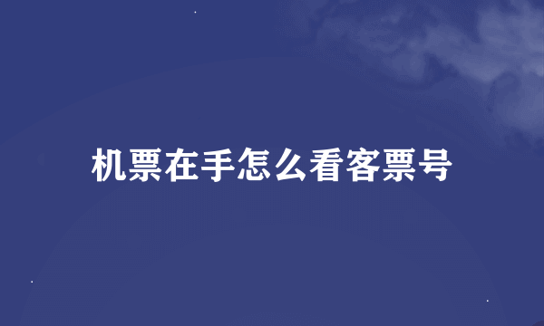 机票在手怎么看客票号