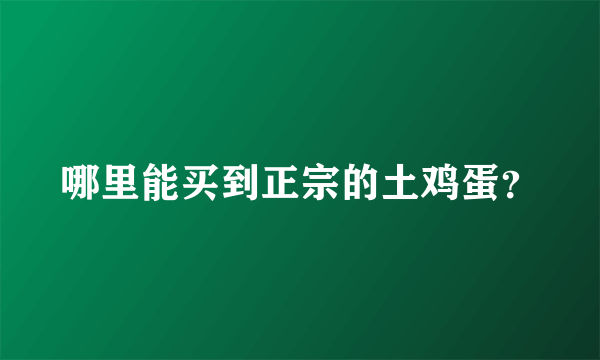 哪里能买到正宗的土鸡蛋？