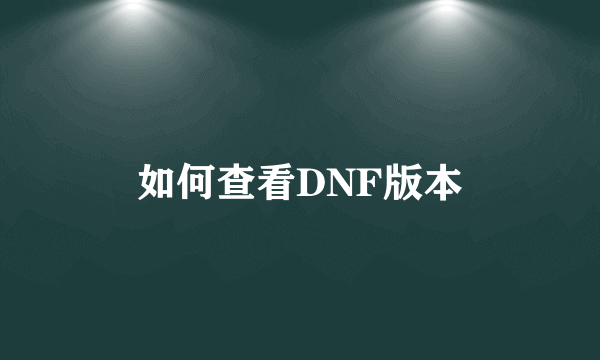 如何查看DNF版本