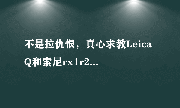 不是拉仇恨，真心求教Leica Q和索尼rx1r2我该选哪个