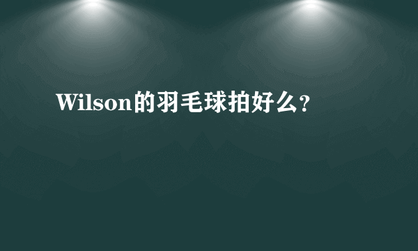 Wilson的羽毛球拍好么？