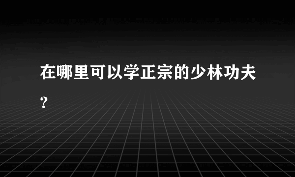 在哪里可以学正宗的少林功夫？