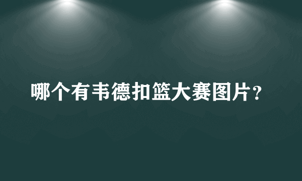 哪个有韦德扣篮大赛图片？