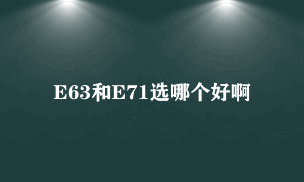 E63和E71选哪个好啊