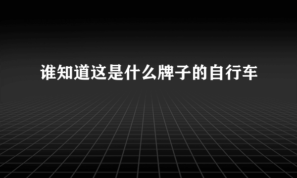 谁知道这是什么牌子的自行车