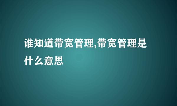 谁知道带宽管理,带宽管理是什么意思