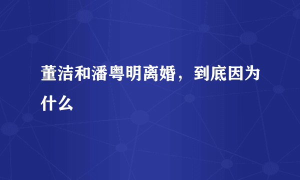 董洁和潘粤明离婚，到底因为什么