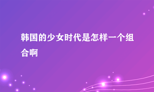 韩国的少女时代是怎样一个组合啊