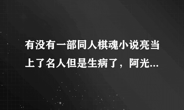 有没有一部同人棋魂小说亮当上了名人但是生病了，阿光当上看本因坊