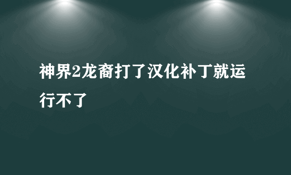 神界2龙裔打了汉化补丁就运行不了