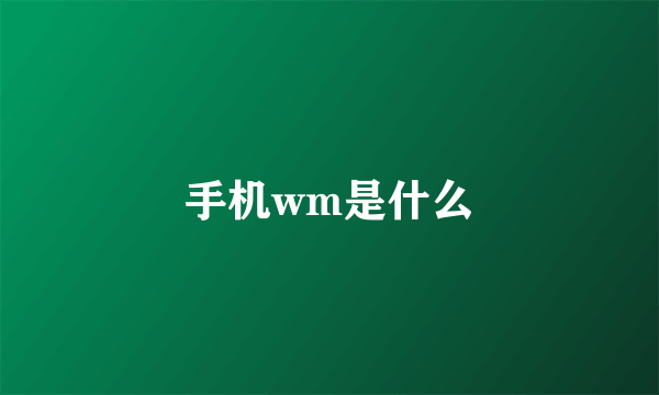 手机wm是什么