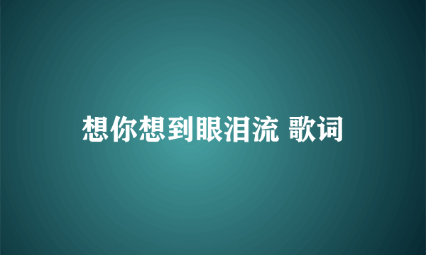 想你想到眼泪流 歌词